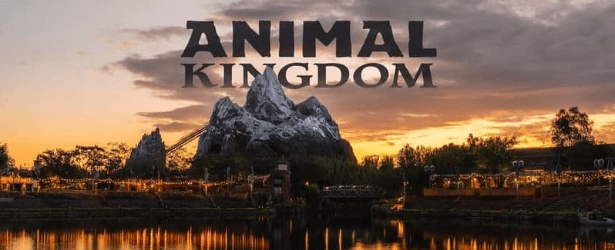 All You Need to Know About Animal Kingdom Disney World