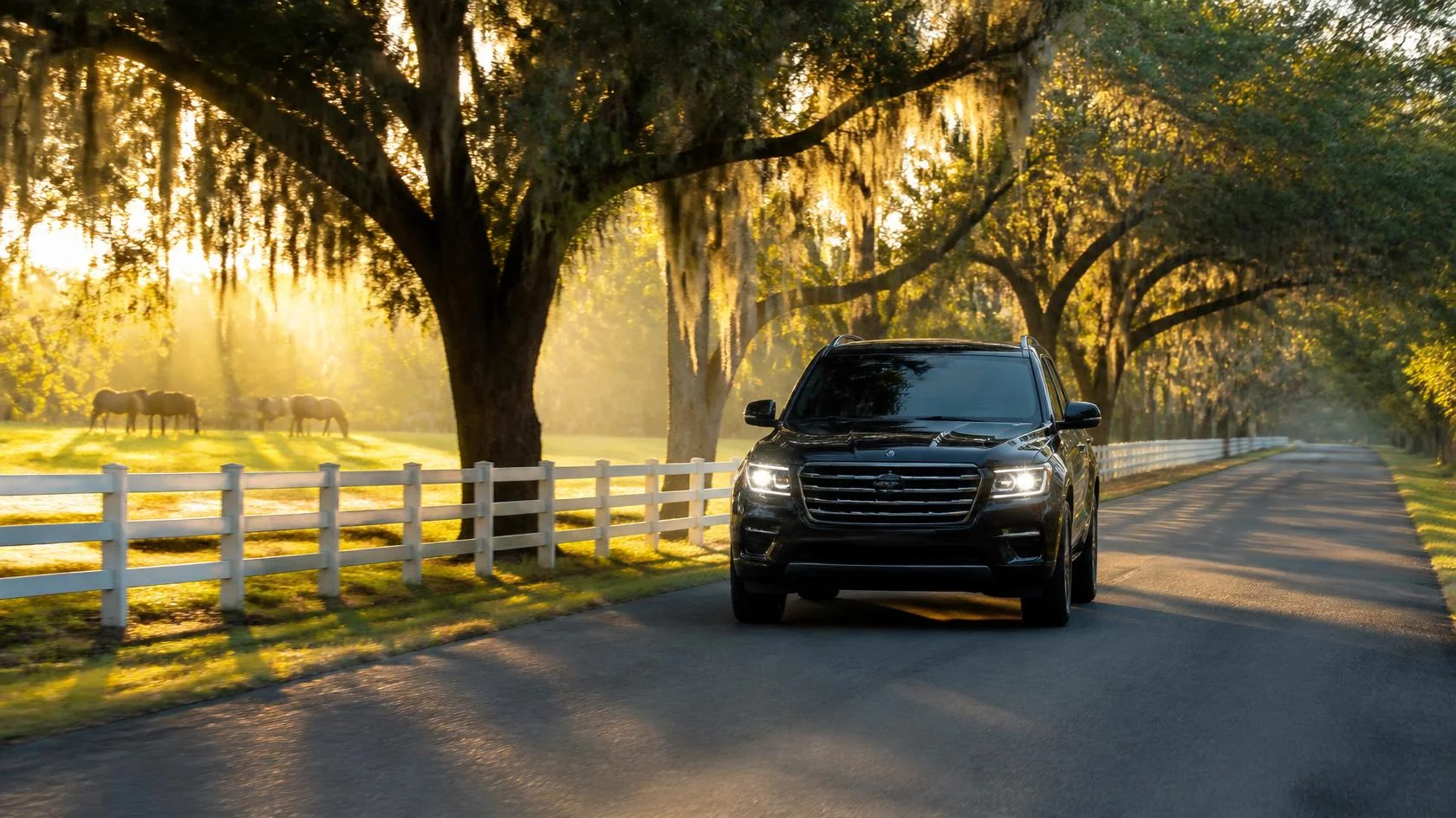 Shuttle From Ocala to Orlando Airport: What Works Best